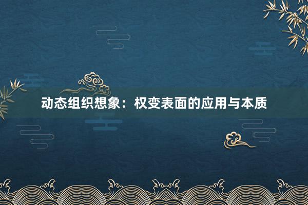 动态组织想象：权变表面的应用与本质