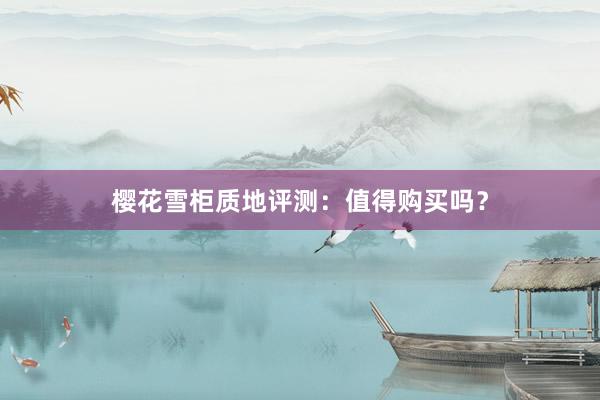 樱花雪柜质地评测：值得购买吗？